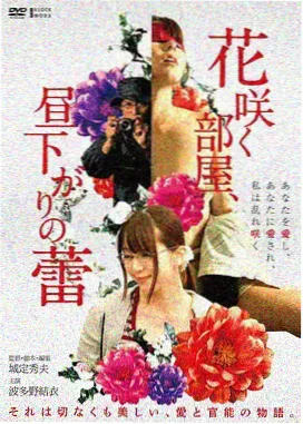 青冥问道录封面